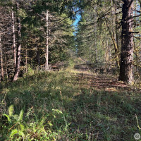 0 NKA Frank Smith Road, Toutle, WA 98649