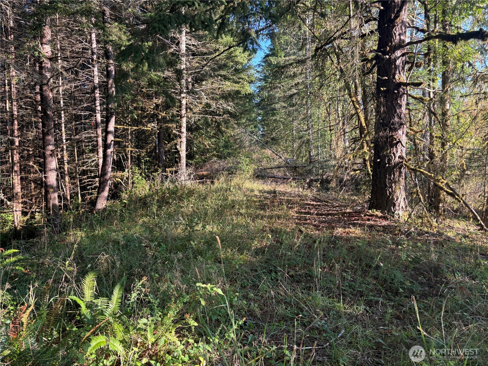 0 NKA Frank Smith Road, Toutle, WA 98649