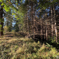 0 NKA Frank Smith Road, Toutle, WA 98649