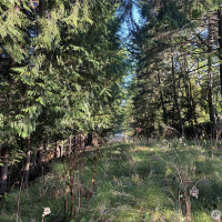 0 NKA Frank Smith Road, Toutle, WA 98649