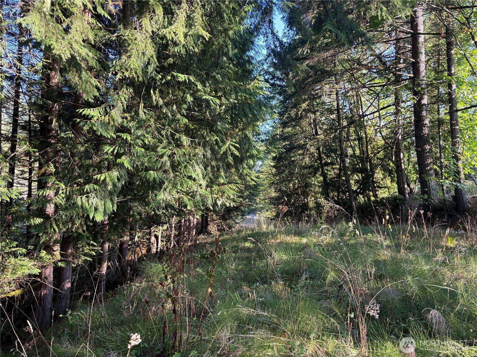 0 NKA Frank Smith Road, Toutle, WA 98649