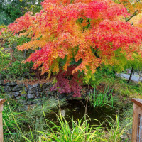 18921 16th Avenue NE, Shoreline, WA 98155