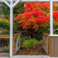 18921 16th Avenue NE, Shoreline, WA 98155