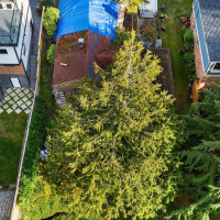 6517 39th Avenue NE, Seattle, WA 98115