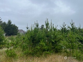 806 318th Place, Ocean Park, WA 98640