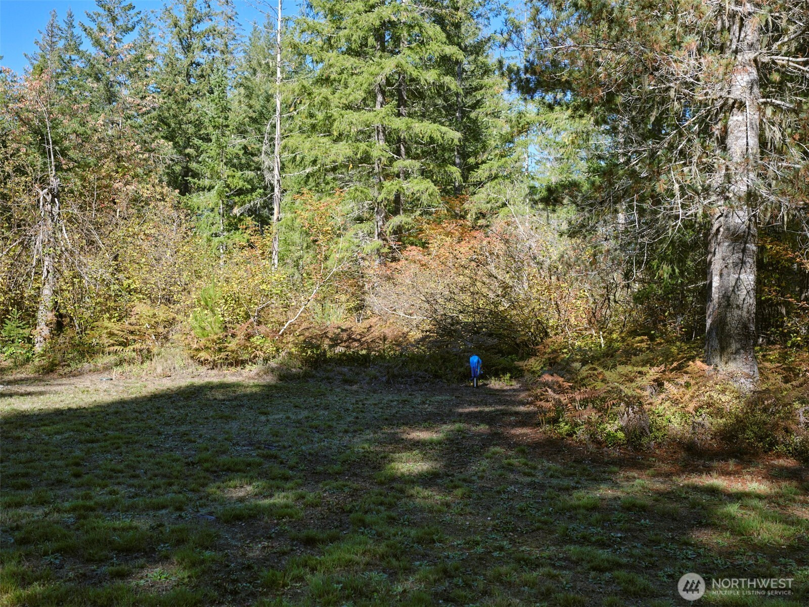 2 A Lahar Lane, Cougar, WA 98616