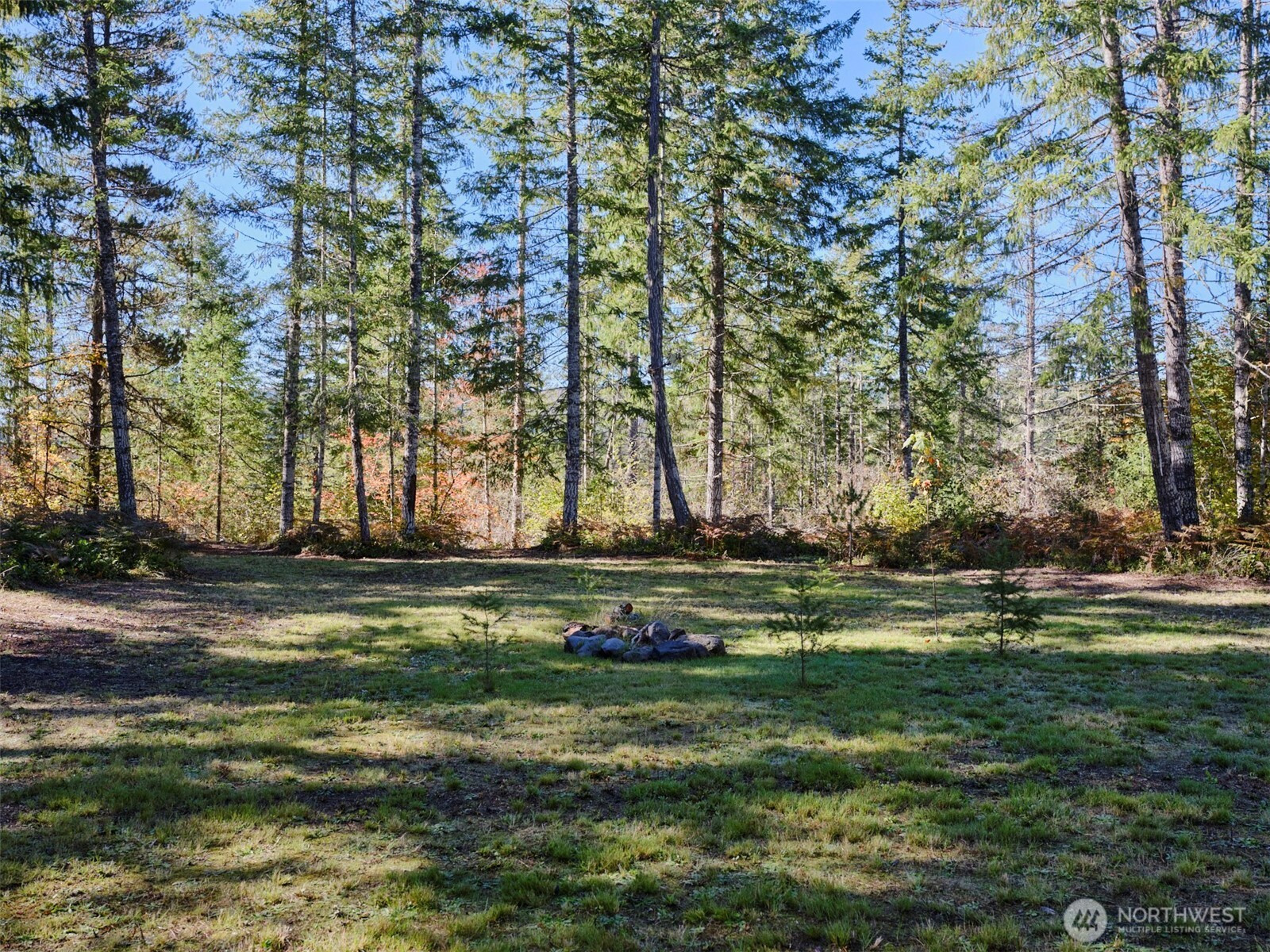 2 A Lahar Lane, Cougar, WA 98616