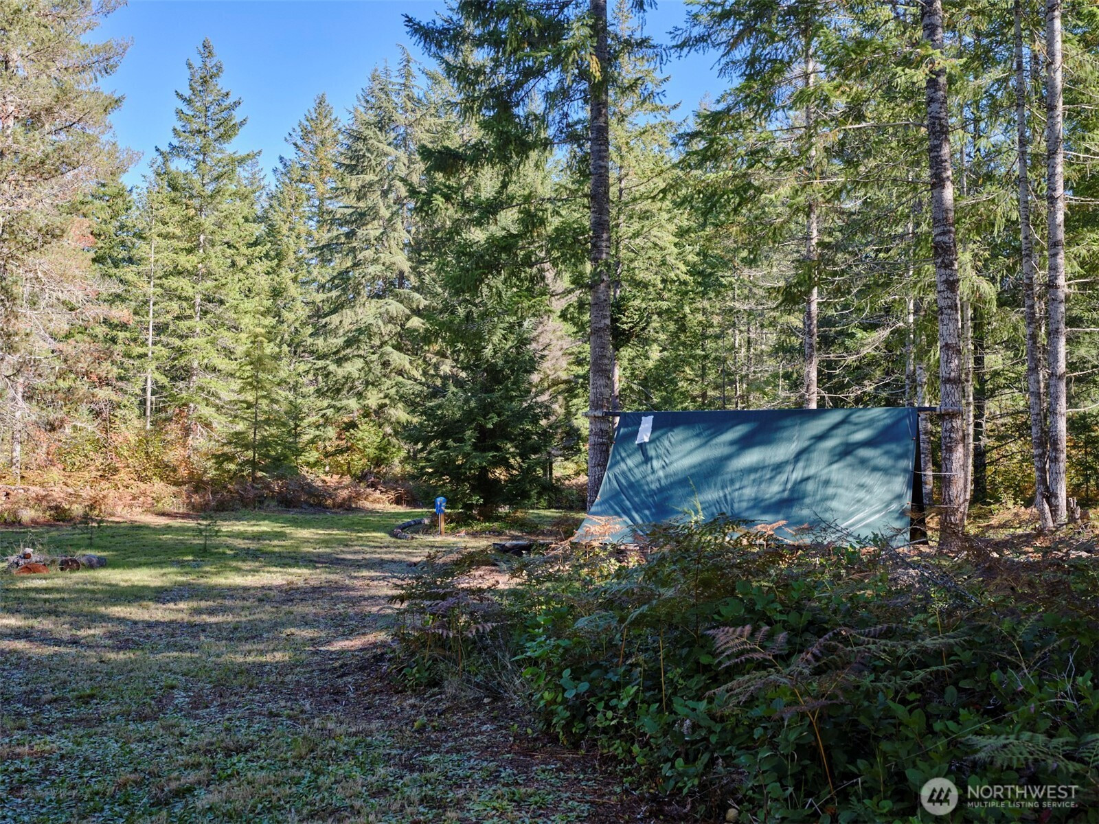 2 A Lahar Lane, Cougar, WA 98616