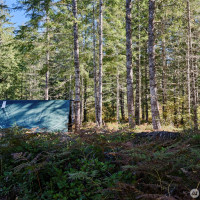 2 A Lahar Lane, Cougar, WA 98616