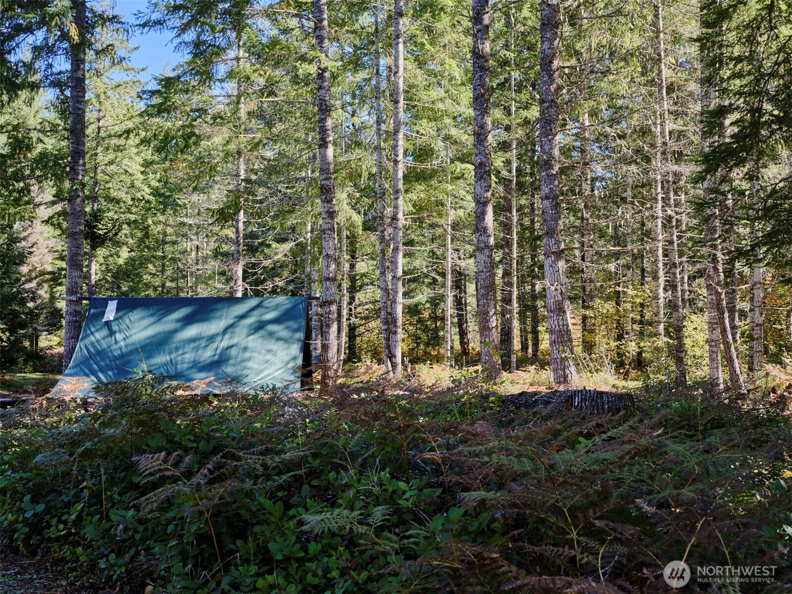 2 A Lahar Lane, Cougar, WA 98616