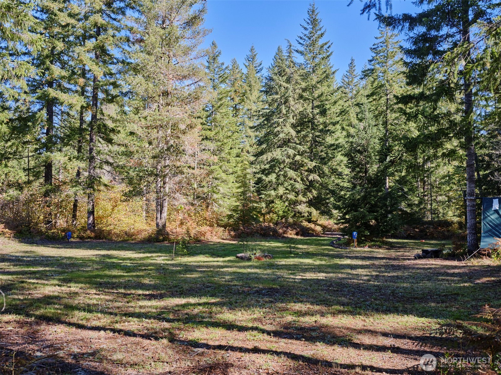 2 A Lahar Lane, Cougar, WA 98616
