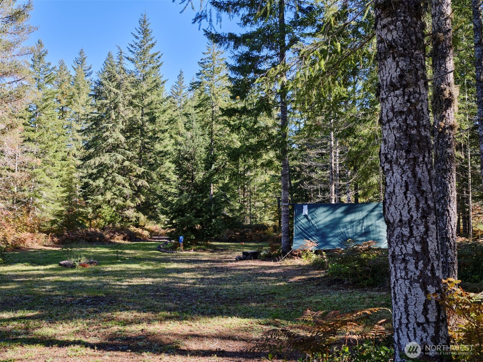 2 A Lahar Lane, Cougar, WA 98616