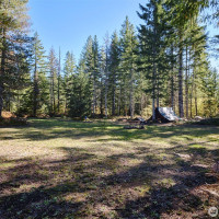 2 A Lahar Lane, Cougar, WA 98616
