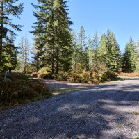 2 A Lahar Lane, Cougar, WA 98616
