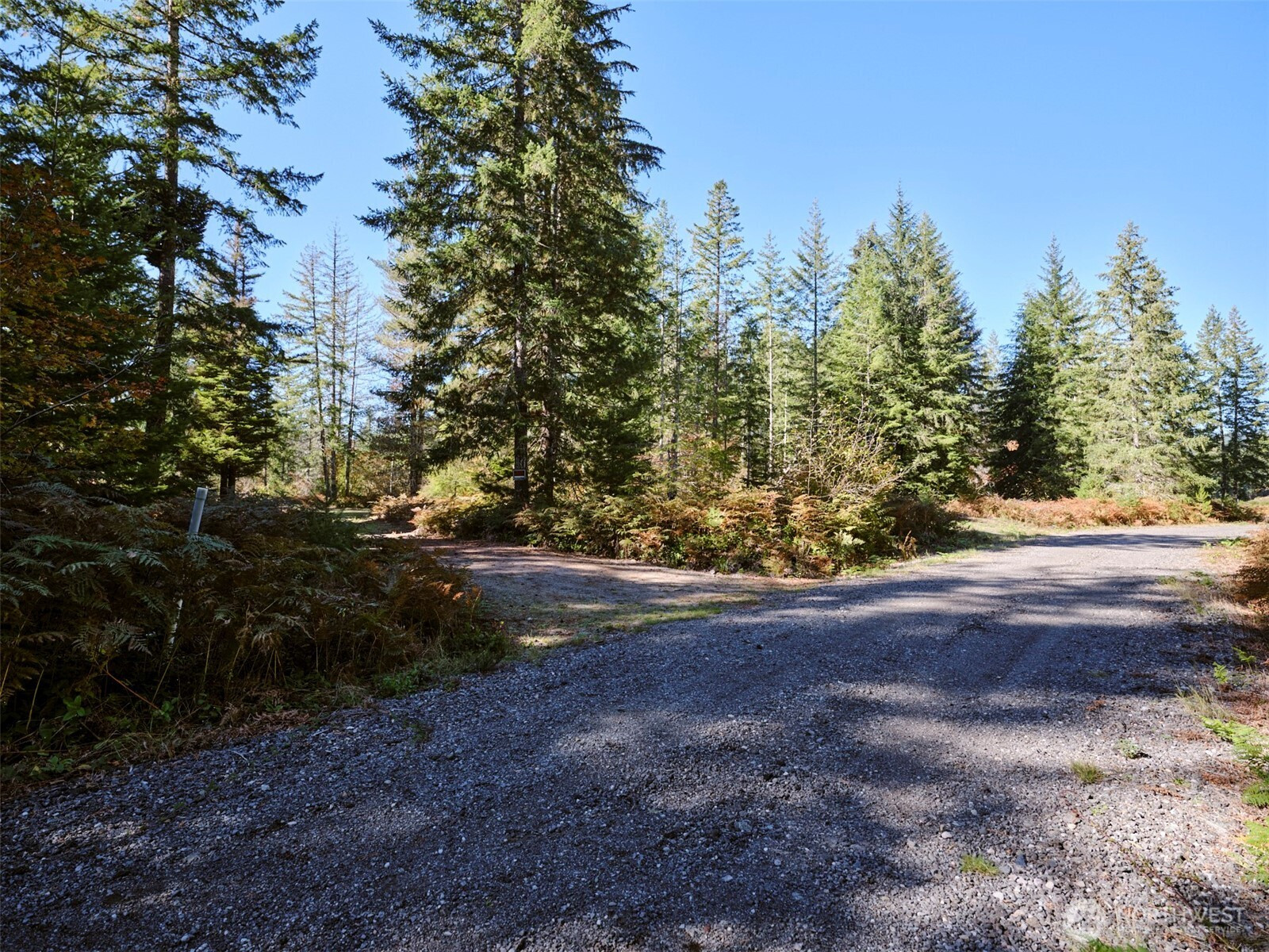 2 A Lahar Lane, Cougar, WA 98616