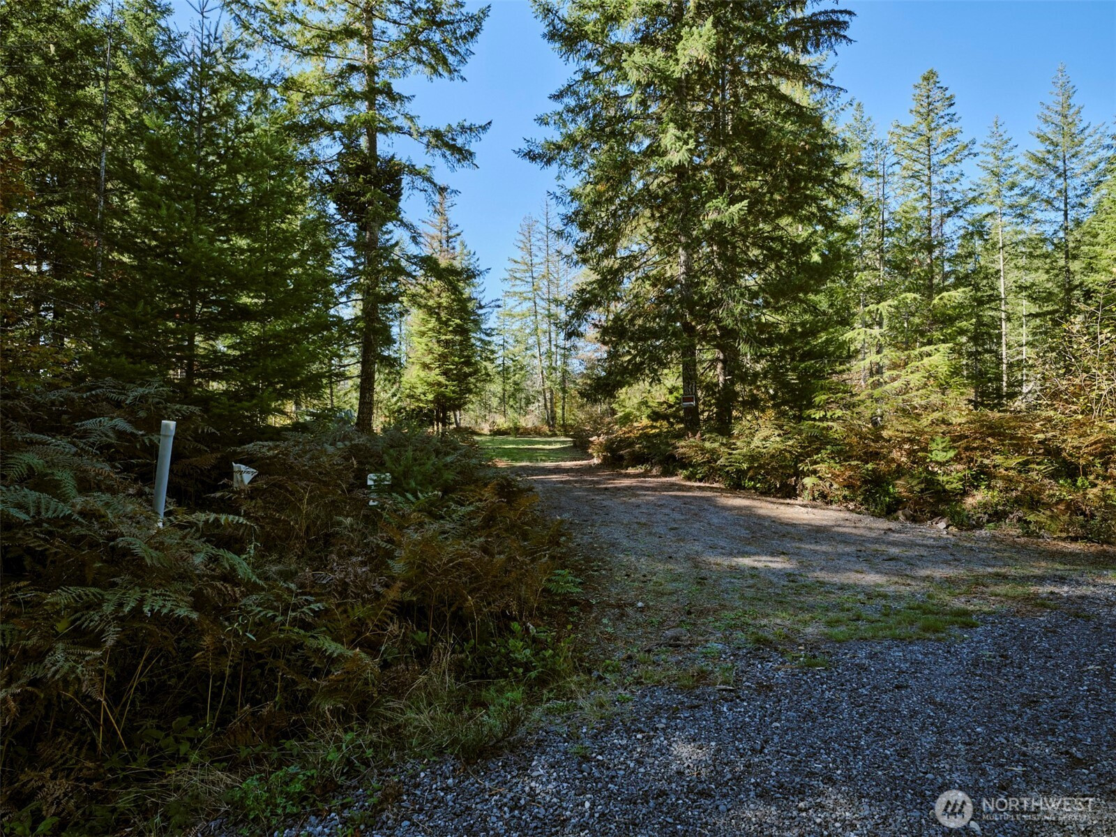2 A Lahar Lane, Cougar, WA 98616