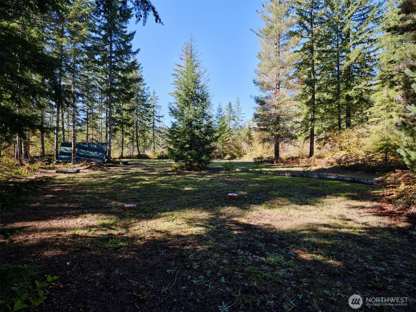 2 A Lahar Lane, Cougar, WA 98616