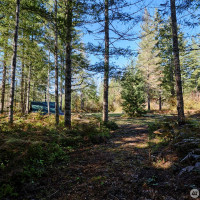 2 A Lahar Lane, Cougar, WA 98616