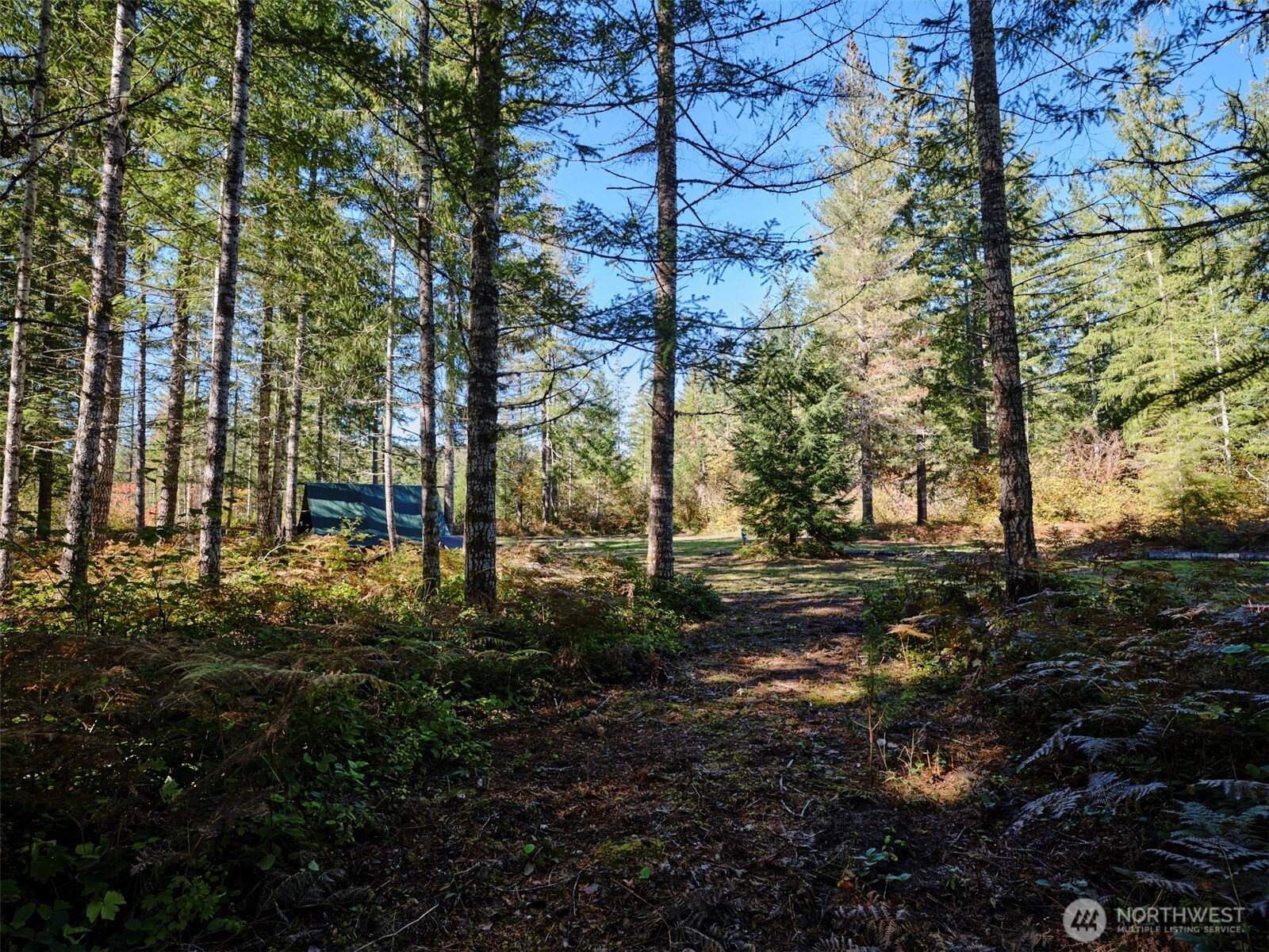 2 A Lahar Lane, Cougar, WA 98616