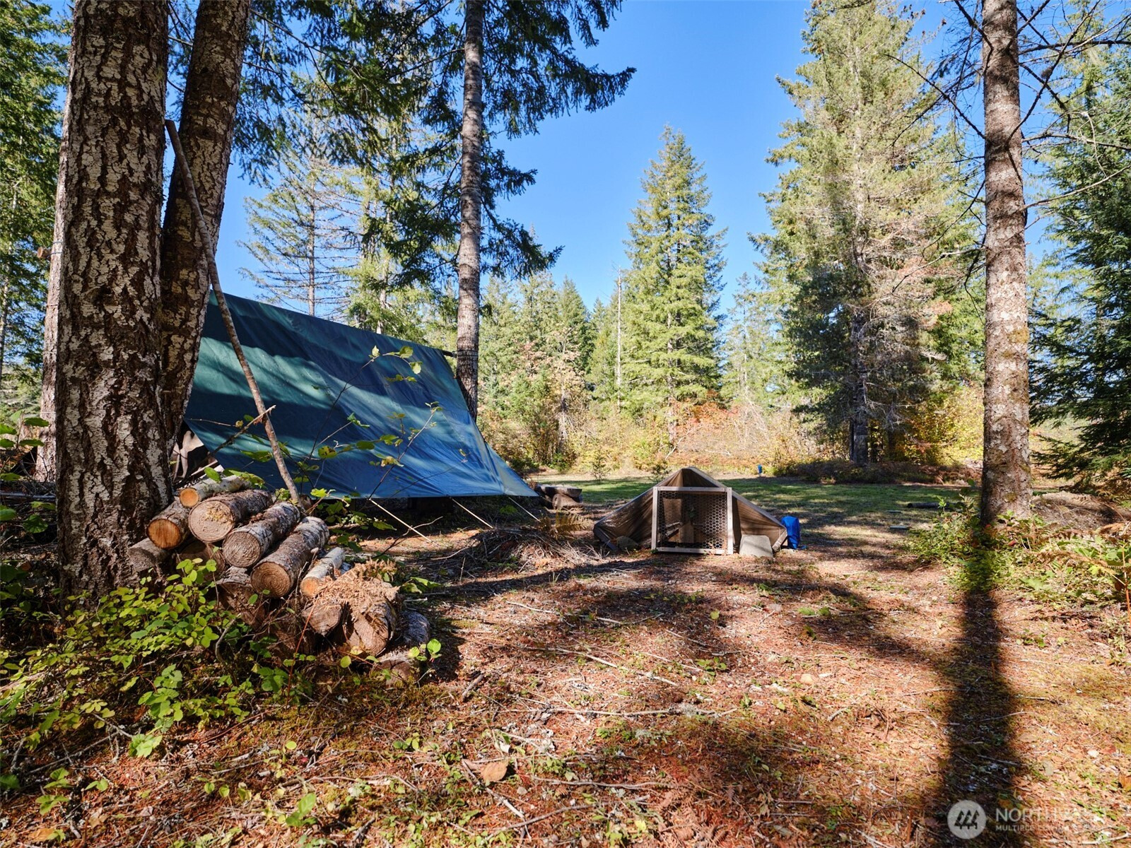 2 A Lahar Lane, Cougar, WA 98616