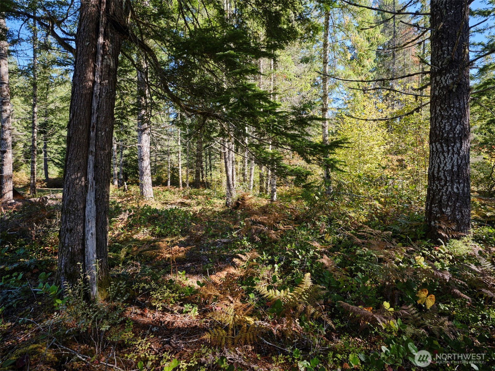 2 A Lahar Lane, Cougar, WA 98616