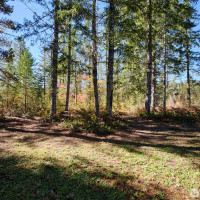 2 A Lahar Lane, Cougar, WA 98616