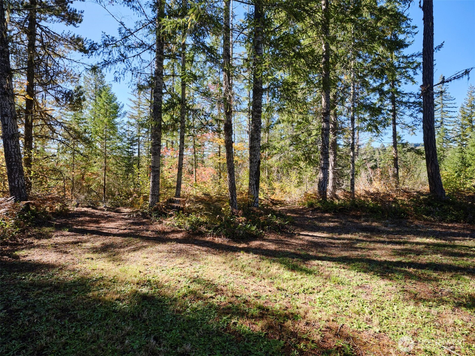 2 A Lahar Lane, Cougar, WA 98616