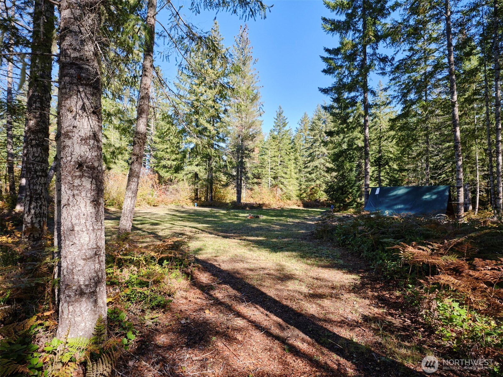 2 A Lahar Lane, Cougar, WA 98616