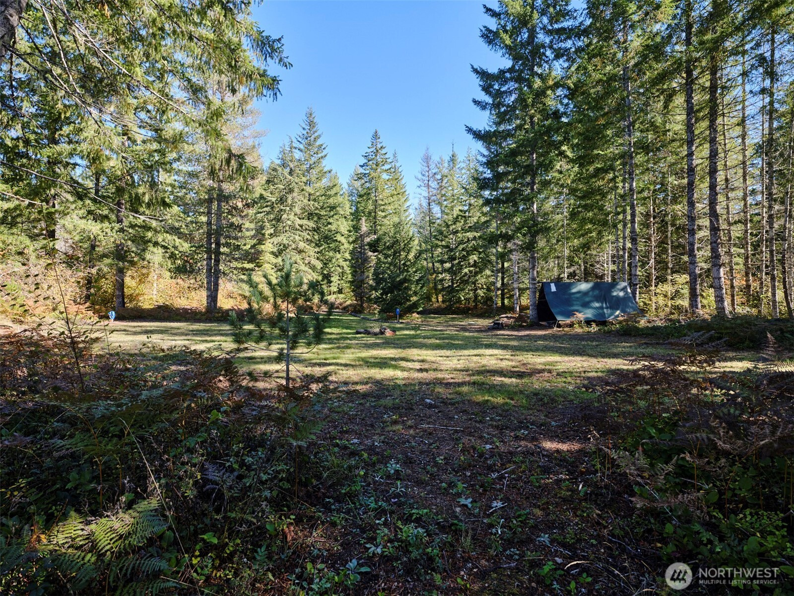 2 A Lahar Lane, Cougar, WA 98616