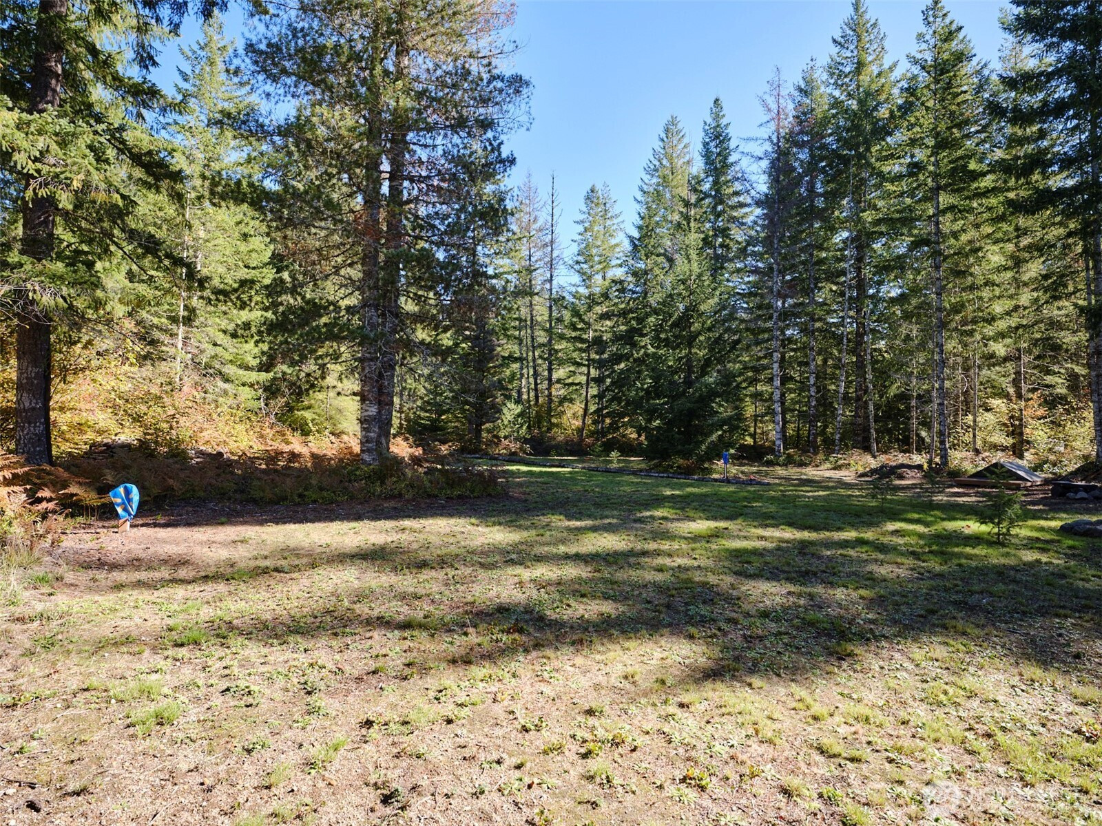2 A Lahar Lane, Cougar, WA 98616