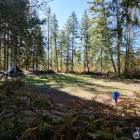 2 A Lahar Lane, Cougar, WA 98616