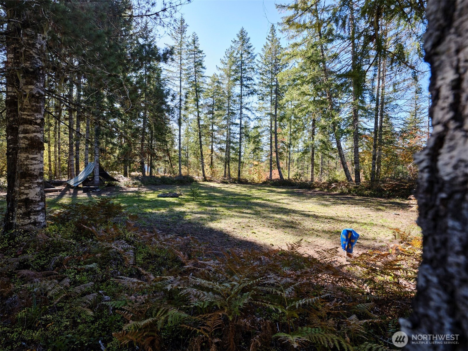 2 A Lahar Lane, Cougar, WA 98616