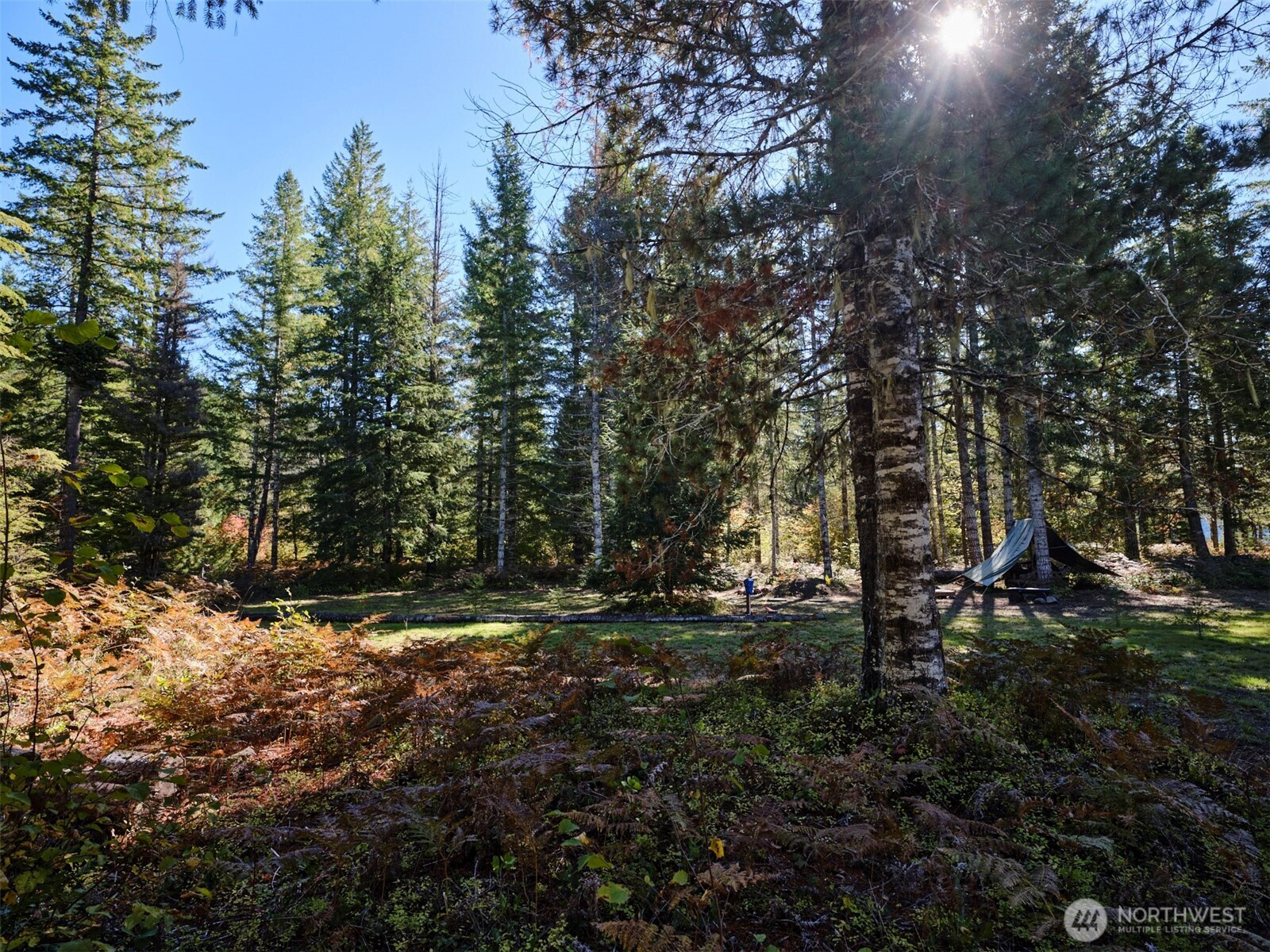 2 A Lahar Lane, Cougar, WA 98616