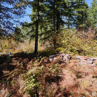 2 A Lahar Lane, Cougar, WA 98616