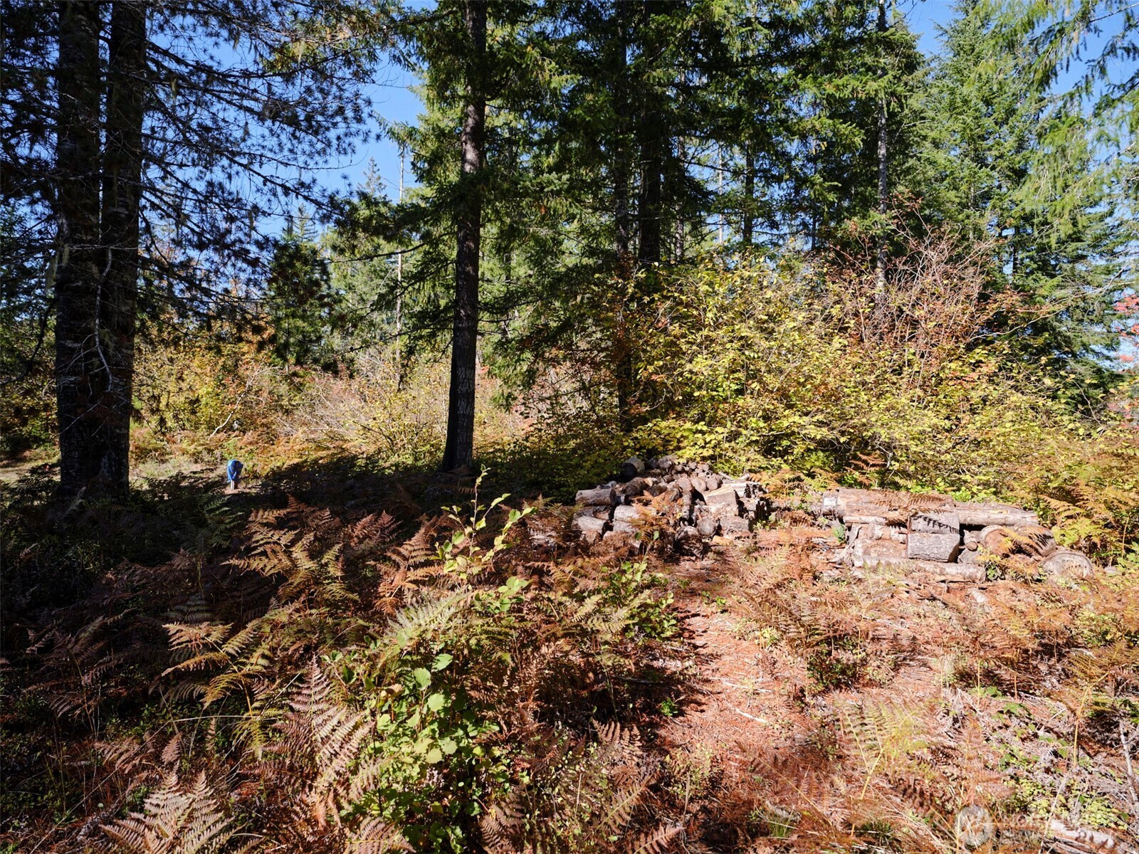 2 A Lahar Lane, Cougar, WA 98616