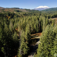 2 A Lahar Lane, Cougar, WA 98616