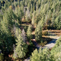 2 A Lahar Lane, Cougar, WA 98616