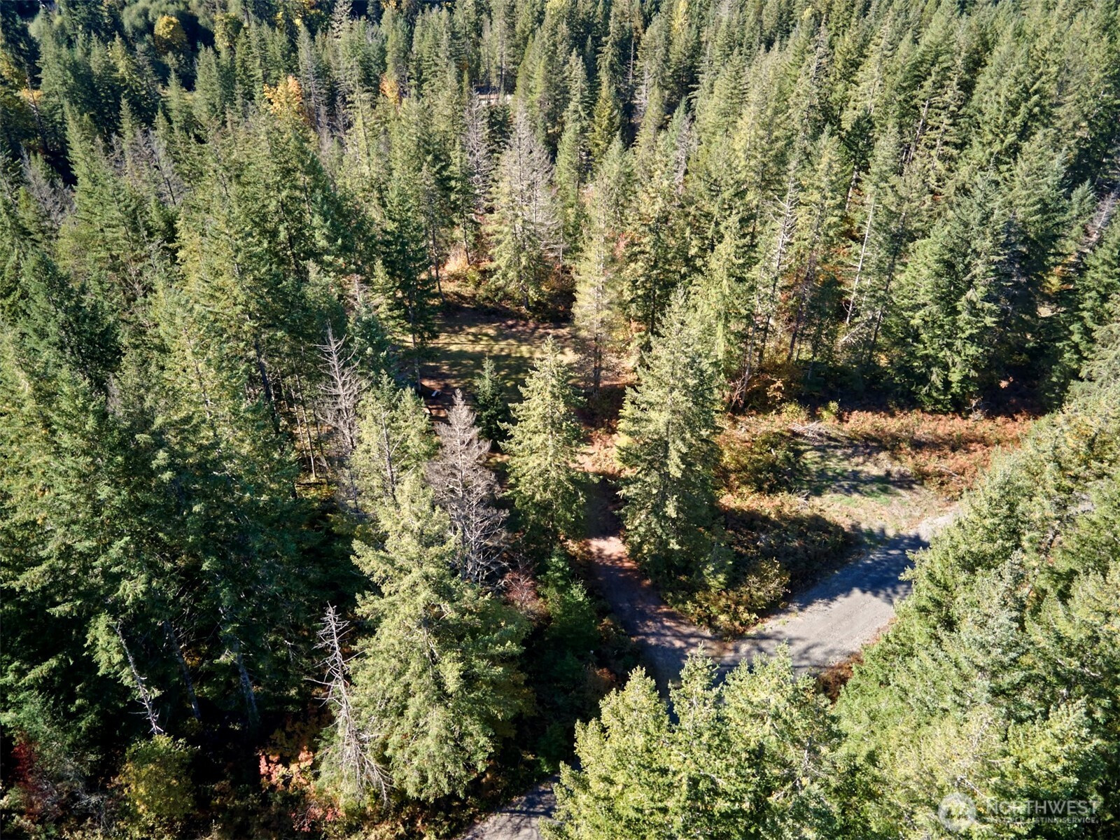 2 A Lahar Lane, Cougar, WA 98616