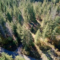 2 A Lahar Lane, Cougar, WA 98616