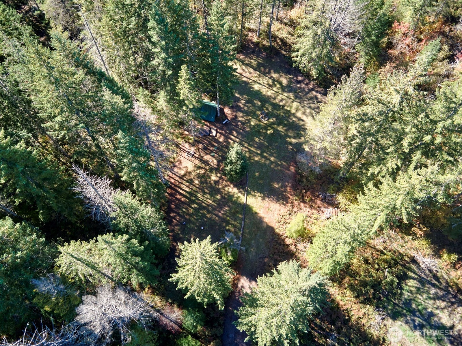 2 A Lahar Lane, Cougar, WA 98616