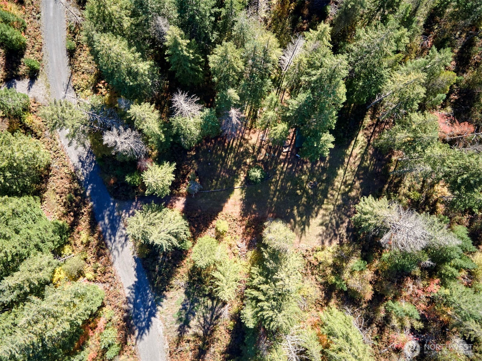 2 A Lahar Lane, Cougar, WA 98616