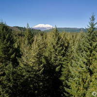 2 A Lahar Lane, Cougar, WA 98616