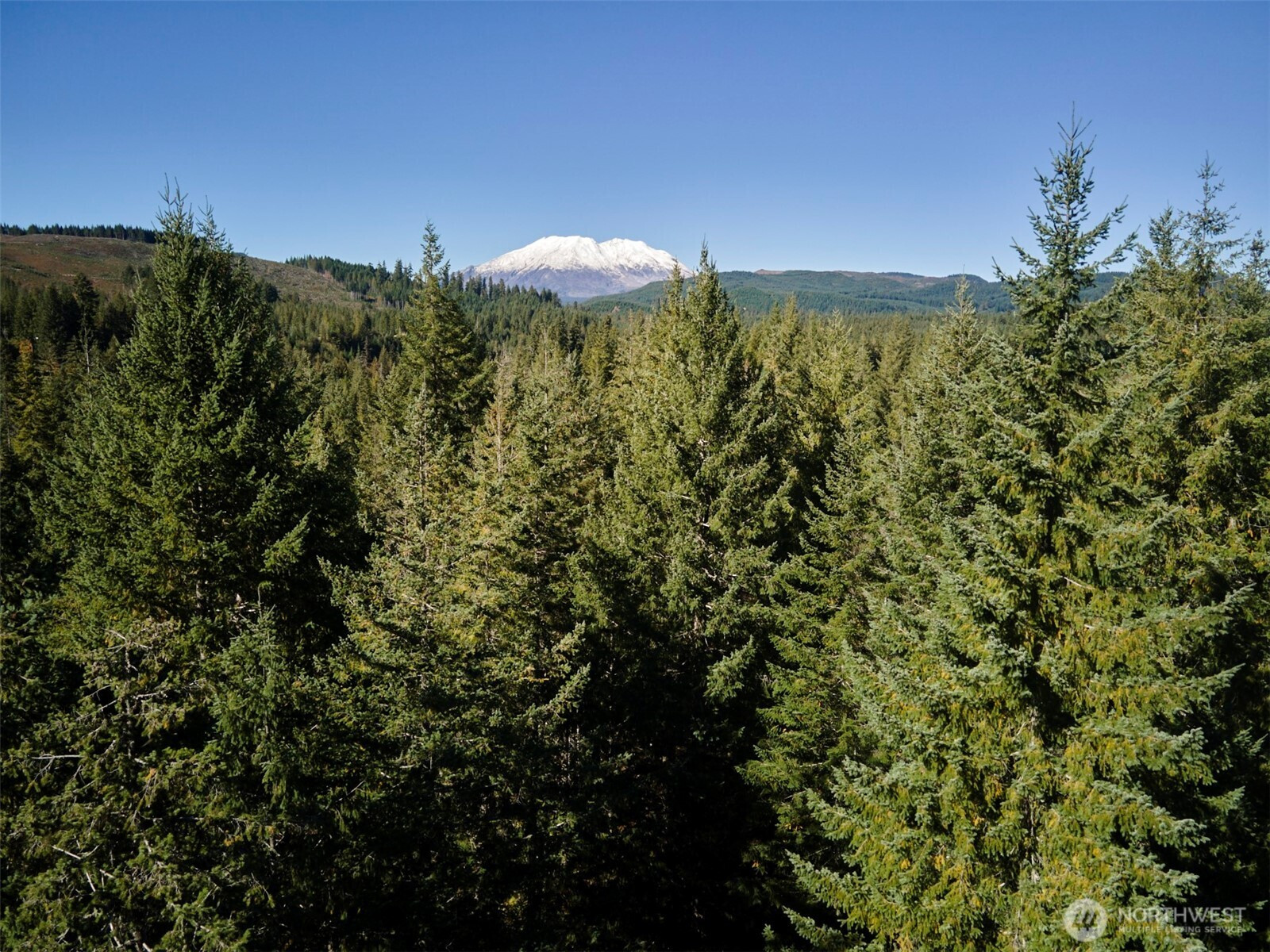 2 A Lahar Lane, Cougar, WA 98616