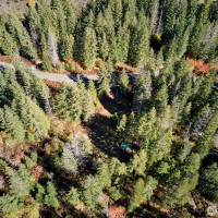 2 A Lahar Lane, Cougar, WA 98616