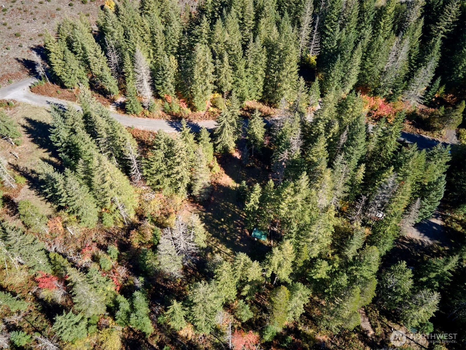 2 A Lahar Lane, Cougar, WA 98616