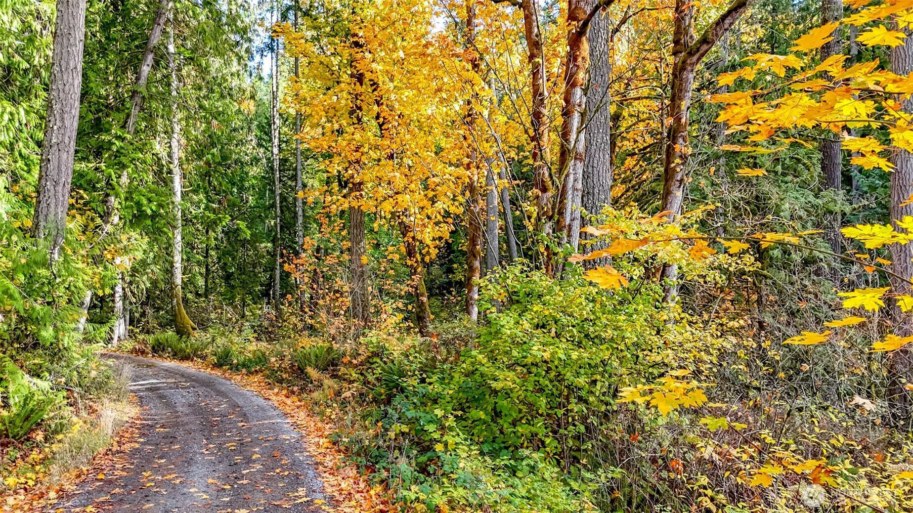 18313 Patterson Road E, Orting, WA 98360