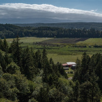 999 Sugar Hill Road, Chimacum, WA 98325