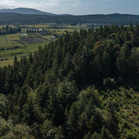 999 Sugar Hill Road, Chimacum, WA 98325