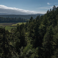 999 Sugar Hill Road, Chimacum, WA 98325