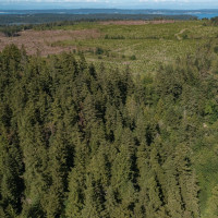 999 Sugar Hill Road, Chimacum, WA 98325